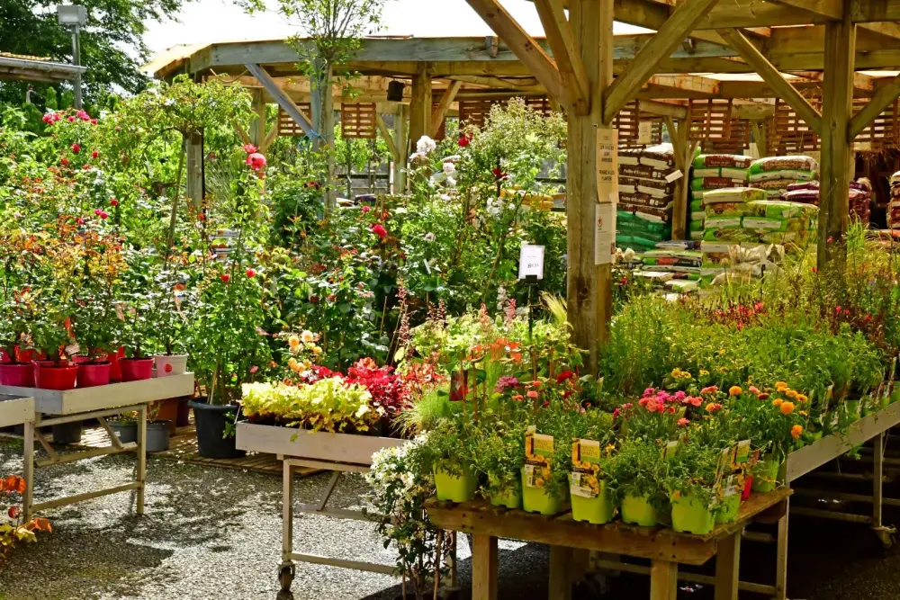 Jardinerie près de Laroque-d'Olmes